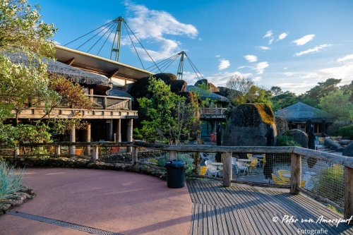 APO - Symphonica at the Zoo - 2022