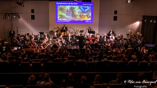 APO - Symphonica at the Zoo - 2022