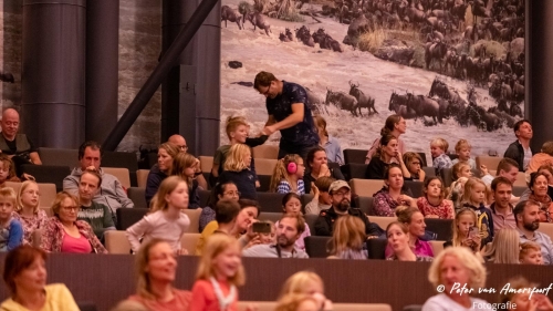 APO - Symphonica at the Zoo - 2022