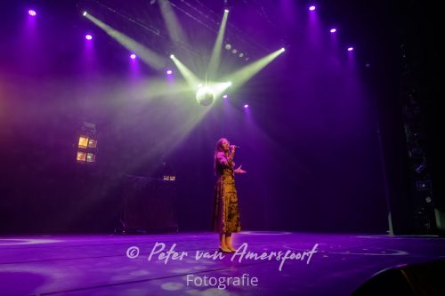 Amphion Open - Finale 2025