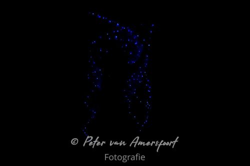 Amphion Open - Finale 2025