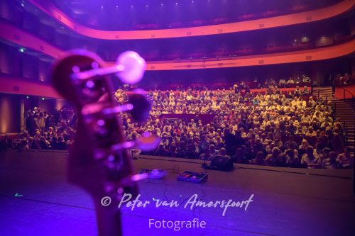 Amphion Open - Finale 2026