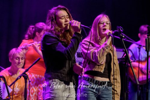 2025-05-25-Pop-Sessions-Live-Amphion-009