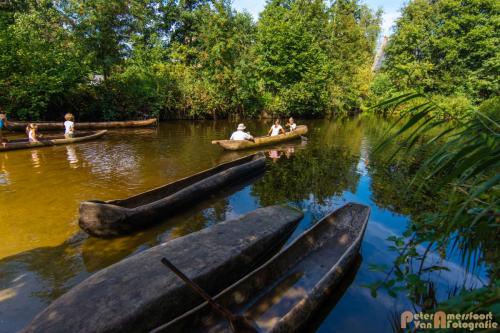 2017-08-22 Arceon 006