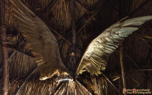 2017-08-22 Arceon 008