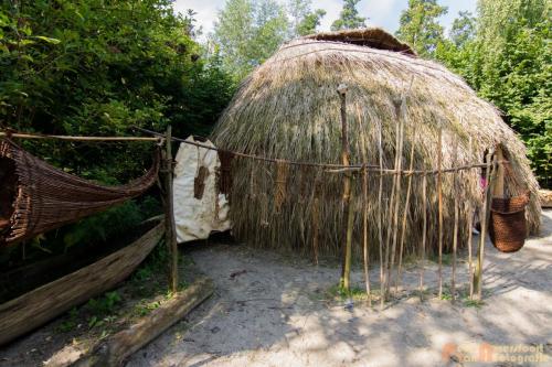 2017-08-22 Arceon 009