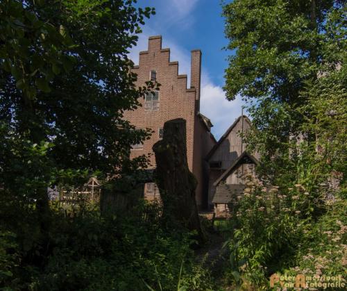 2017-08-22 Arceon 010