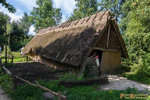 2017-08-22 Arceon 021