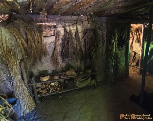 2017-08-22 Arceon 022