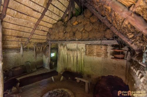 2017-08-22 Arceon 025