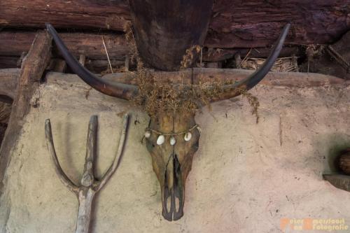 2017-08-22 Arceon 027