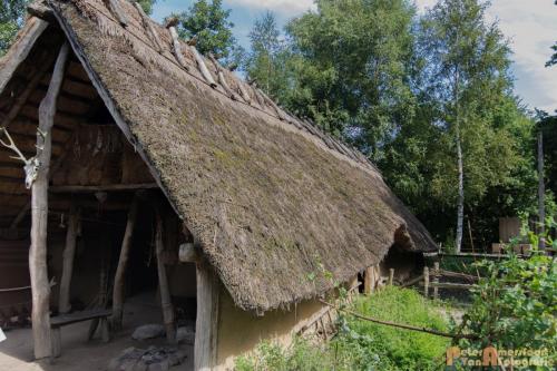 2017-08-22 Arceon 029