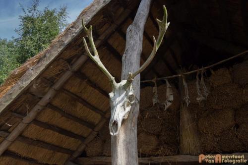 2017-08-22 Arceon 030