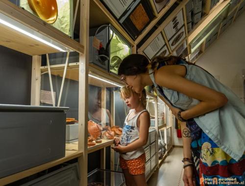 2018-07-29 Archeon 002