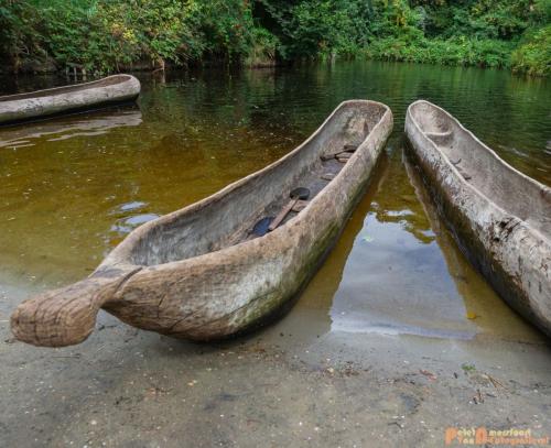 2018-07-29 Archeon 013