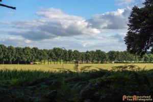 2017-07-12 Avondwandeling-01