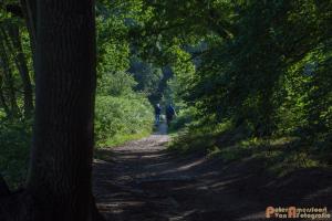 2017-07-12 Avondwandeling-02