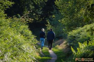 2017-07-12 Avondwandeling-03