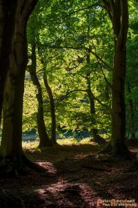 2017-07-12 Avondwandeling-04