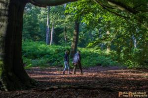 2017-07-12 Avondwandeling-05