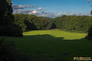 2017-07-12 Avondwandeling-06