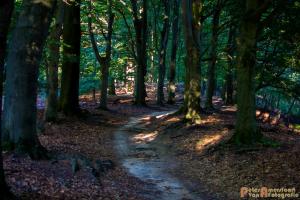 2017-07-12 Avondwandeling-07