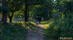 2017-07-12 Avondwandeling-09