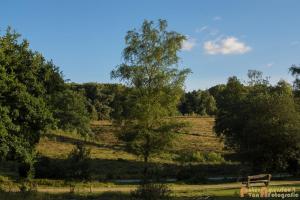 2017-07-12 Avondwandeling-10