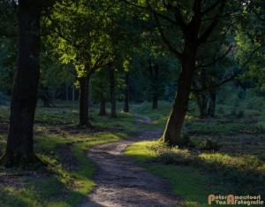 2017-07-12 Avondwandeling-11