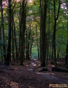 2017-07-12 Avondwandeling-13