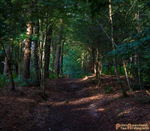 2017-07-12 Avondwandeling-16