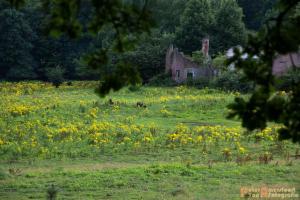 2017-07-12 Avondwandeling-27