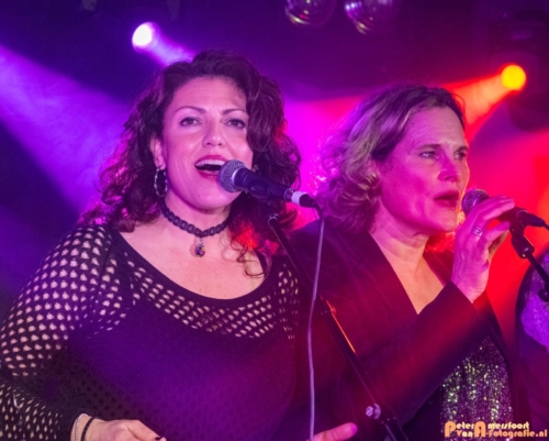 2020-01-12 Back to DeVito the Frog Tribute LSAMusic Aalten 081