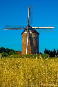 2017-06-26 Buitenmolen Zevenaar-3