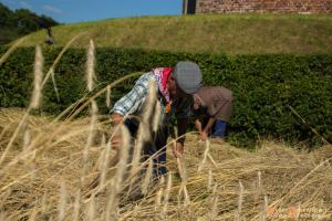 2017-07-21 Buitenmolen Zevenaar-01