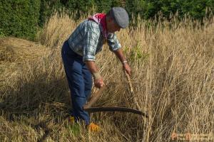 2017-07-21 Buitenmolen Zevenaar-03