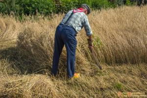 2017-07-21 Buitenmolen Zevenaar-05