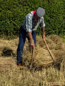 2017-07-21 Buitenmolen Zevenaar-06