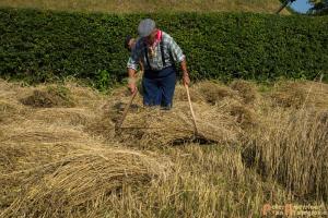 2017-07-21 Buitenmolen Zevenaar-07