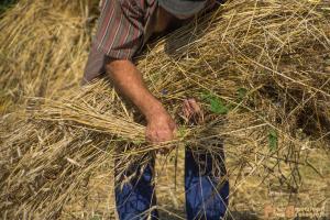 2017-07-21 Buitenmolen Zevenaar-09