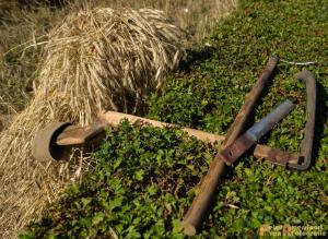 2017-07-21 Buitenmolen Zevenaar-11