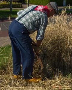 2017-07-21 Buitenmolen Zevenaar-16