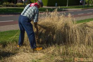 2017-07-21 Buitenmolen Zevenaar-17