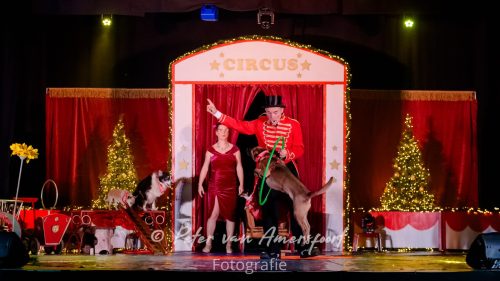 Circus Lorelly - Kerstshow 2025