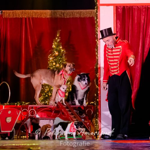 Circus Lorelly - Kerstshow 2025