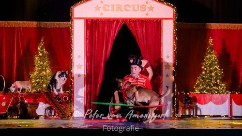 Circus Lorelly - Kerstshow 2025