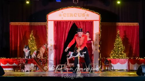 Circus Lorelly - Kerstshow 2025