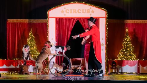 Circus Lorelly - Kerstshow 2025