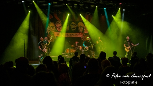 Folkfeest: 20 jaar Scrum!support act - Maggie's Flock