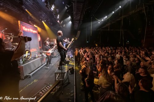 DareDevils - Zing Nederlands met me